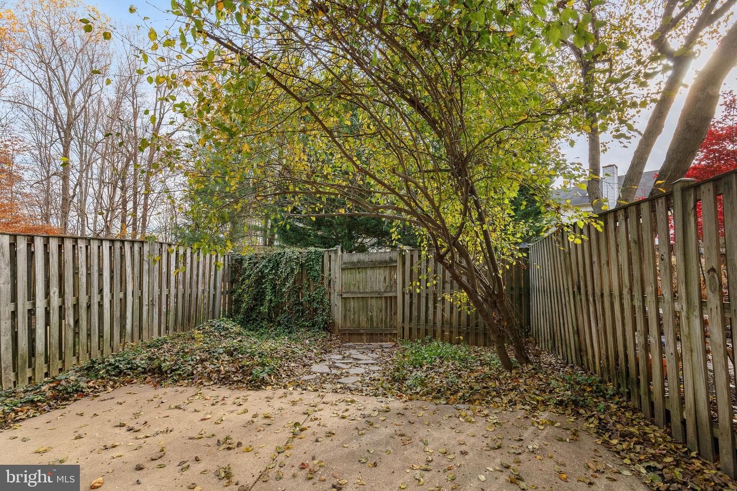 7711 Pott Court photo 34