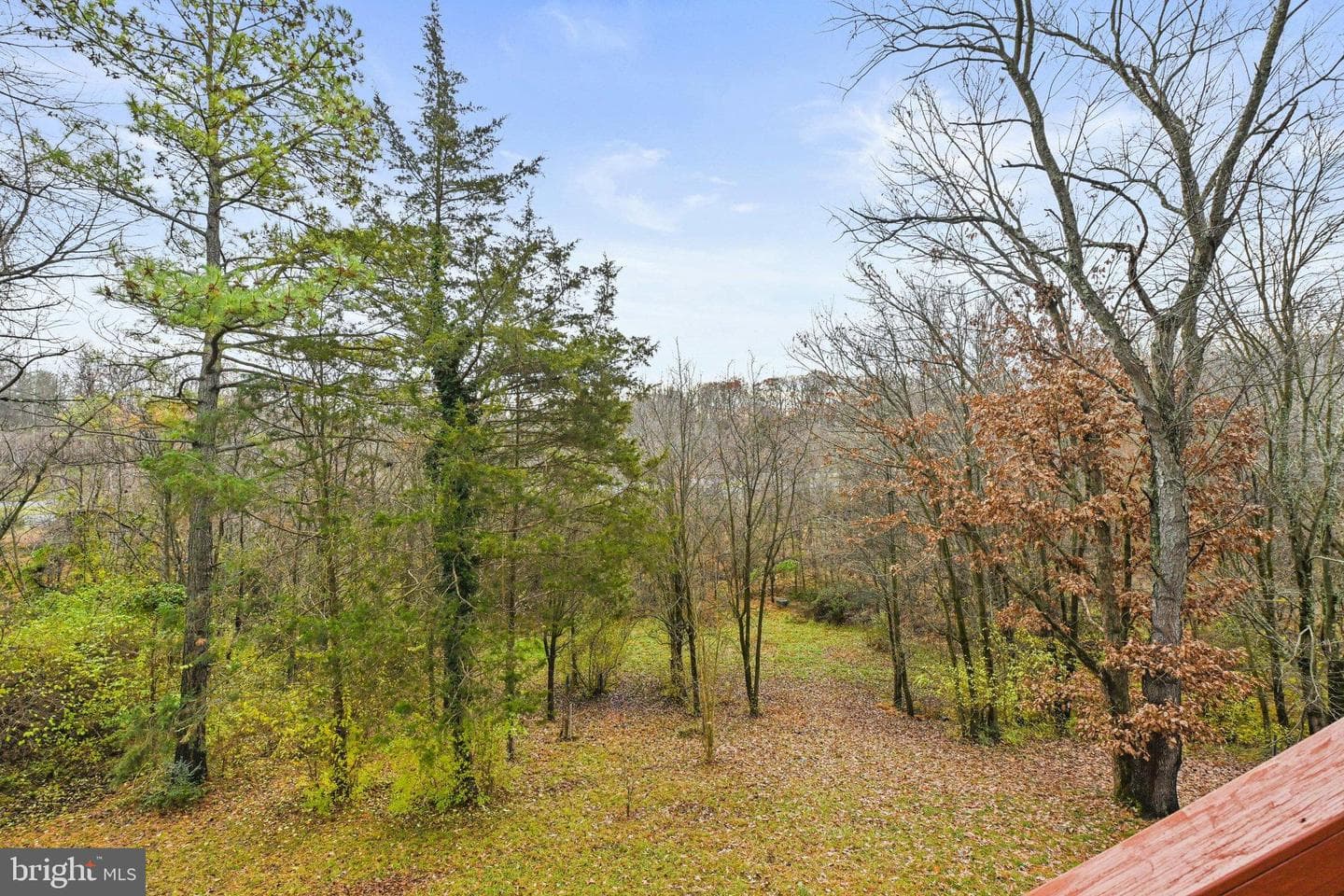 12961 Pinecrest View Court photo 38
