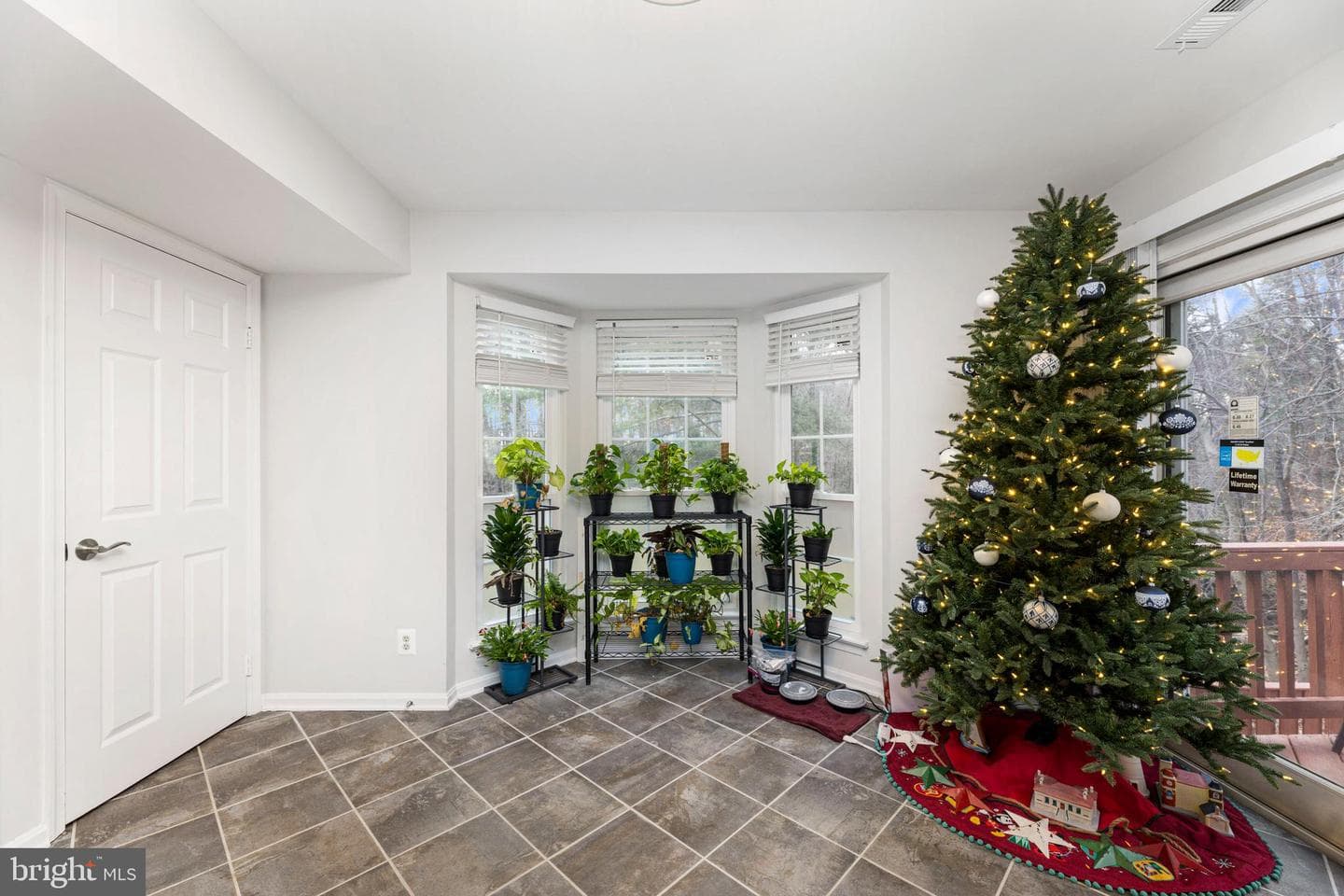 8629 Rocky Gap Court photo 11