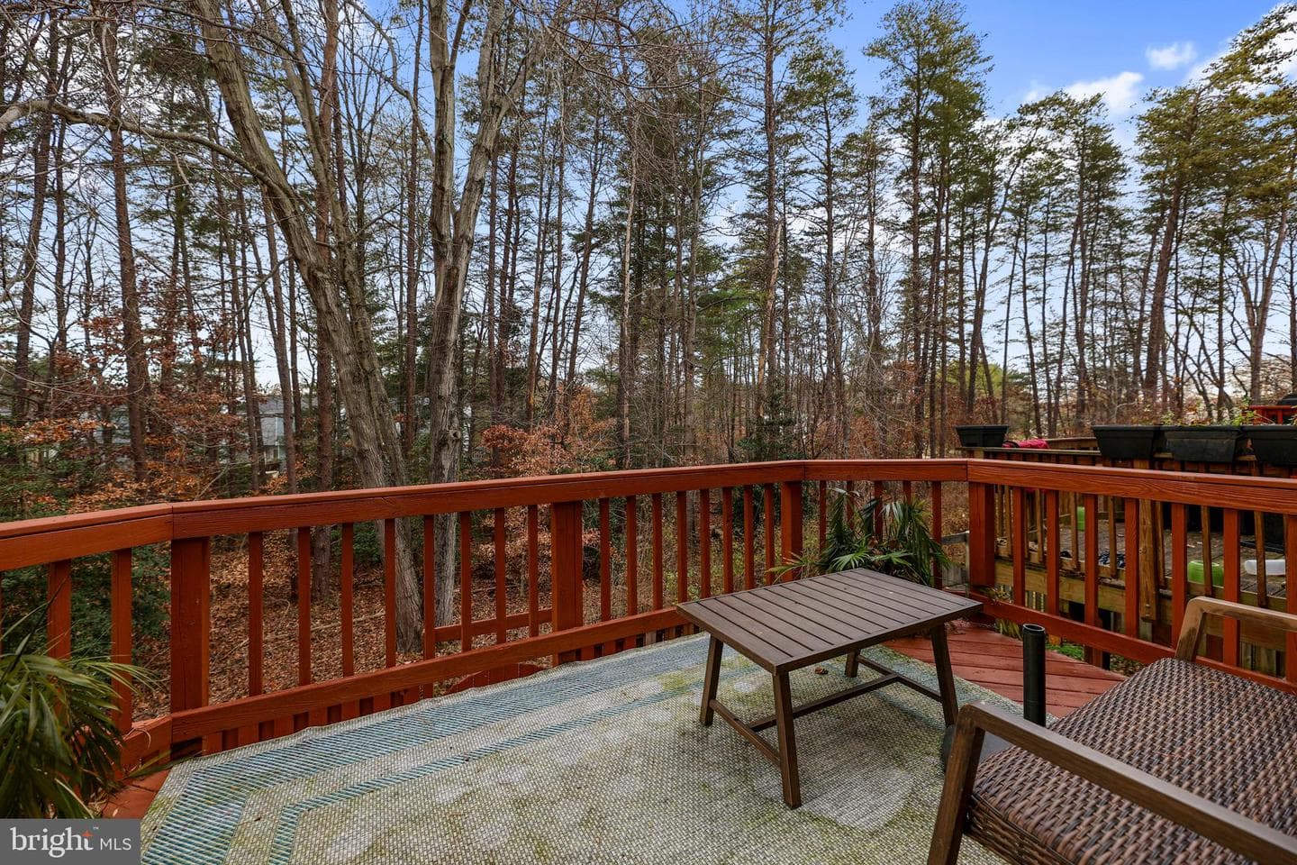 8629 Rocky Gap Court photo 13