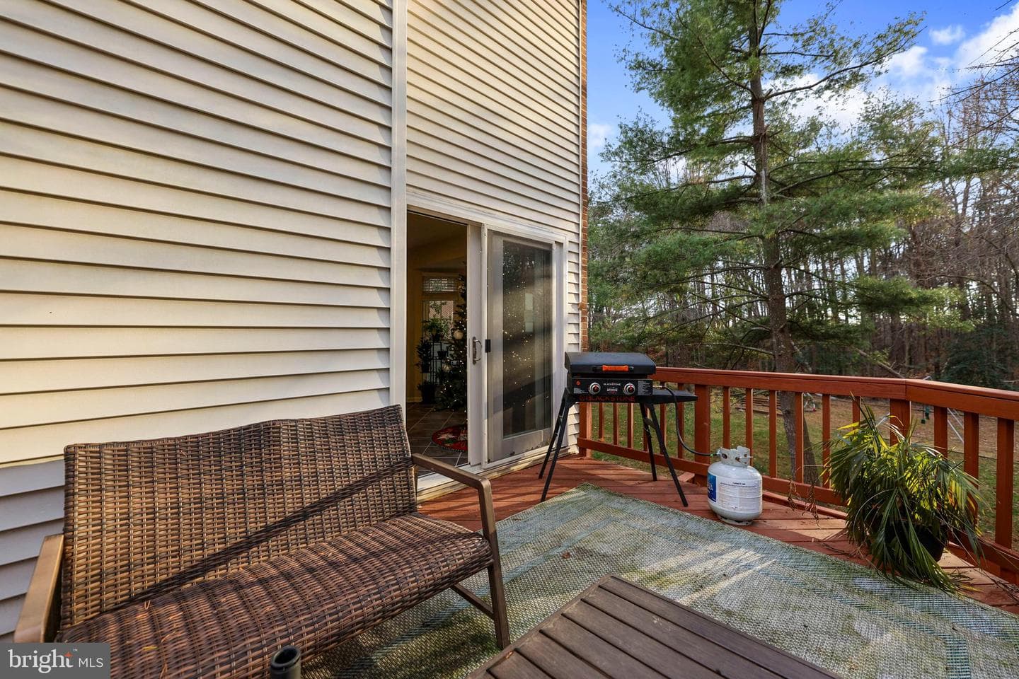 8629 Rocky Gap Court photo 14