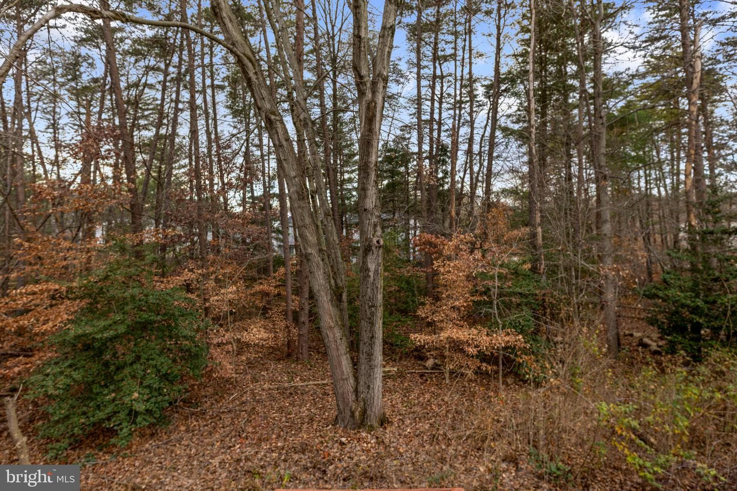 8629 Rocky Gap Court photo 15