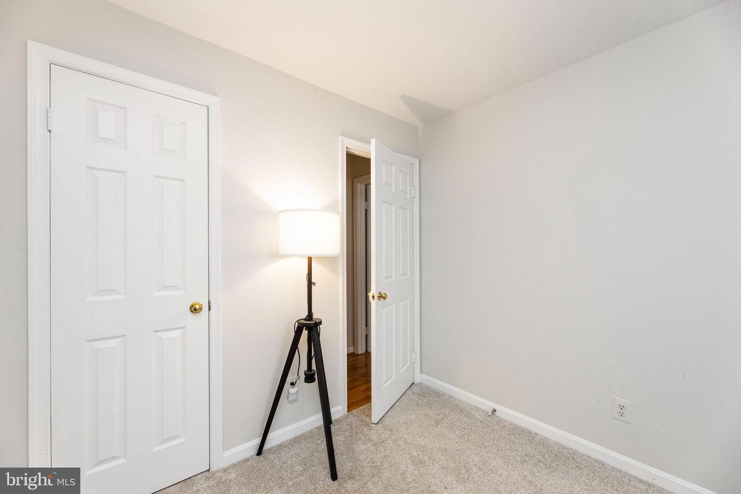 8629 Rocky Gap Court photo 32