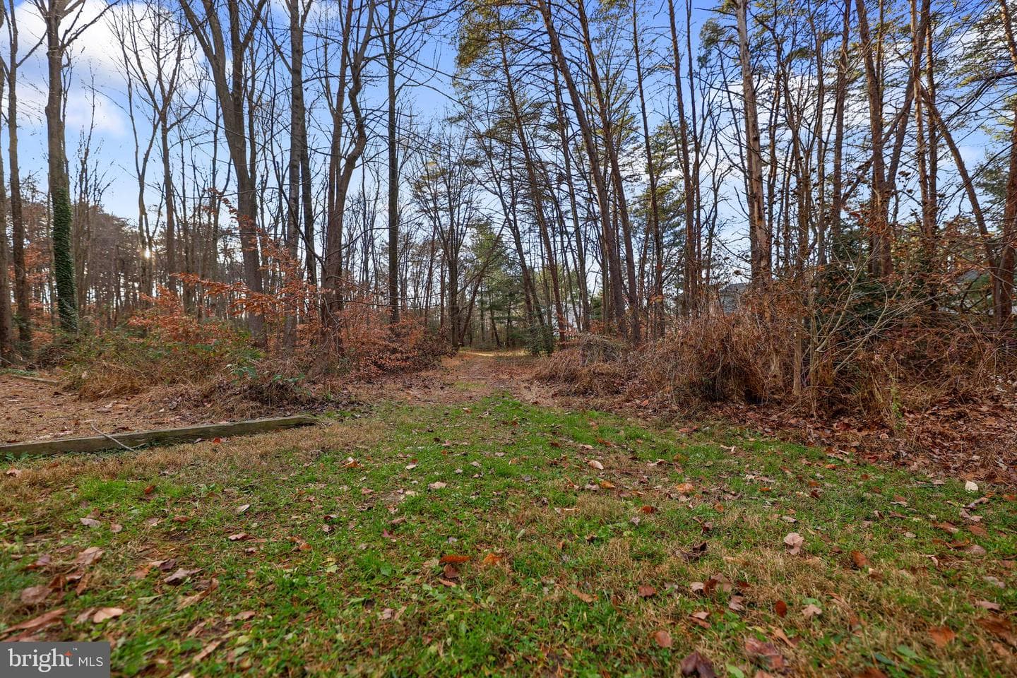 8629 Rocky Gap Court photo 44