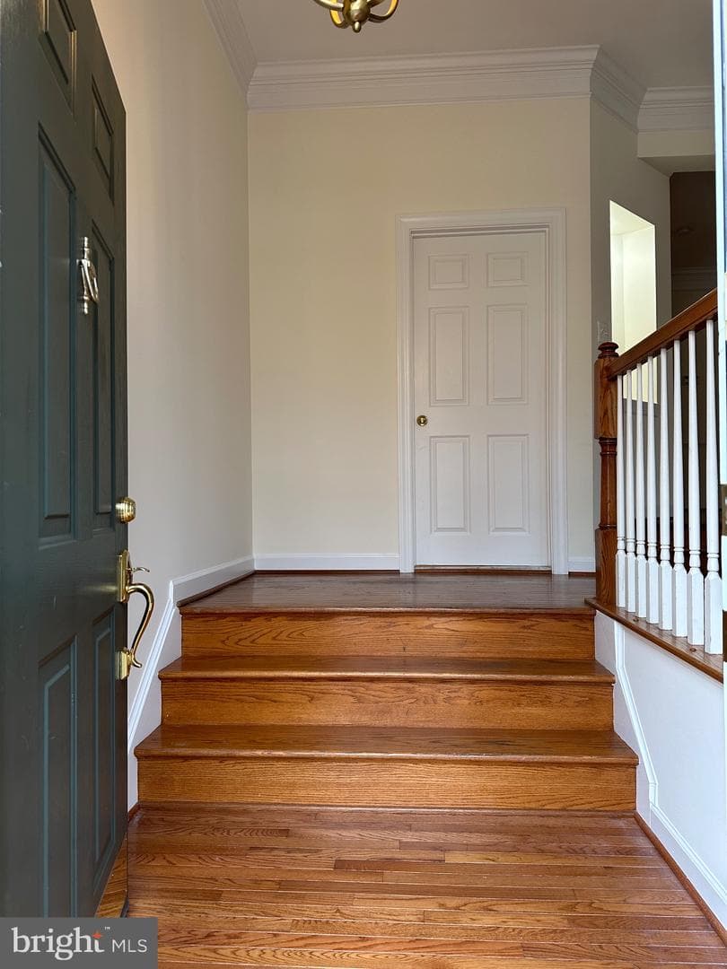 8027 Kidwell Hill Court photo 3
