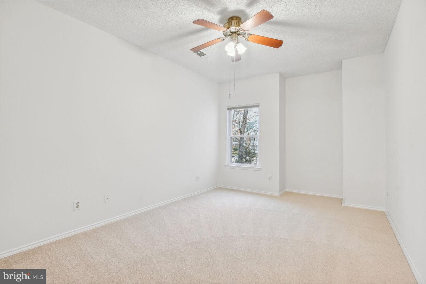 4417 Fair Stone Drive #204 photo 13