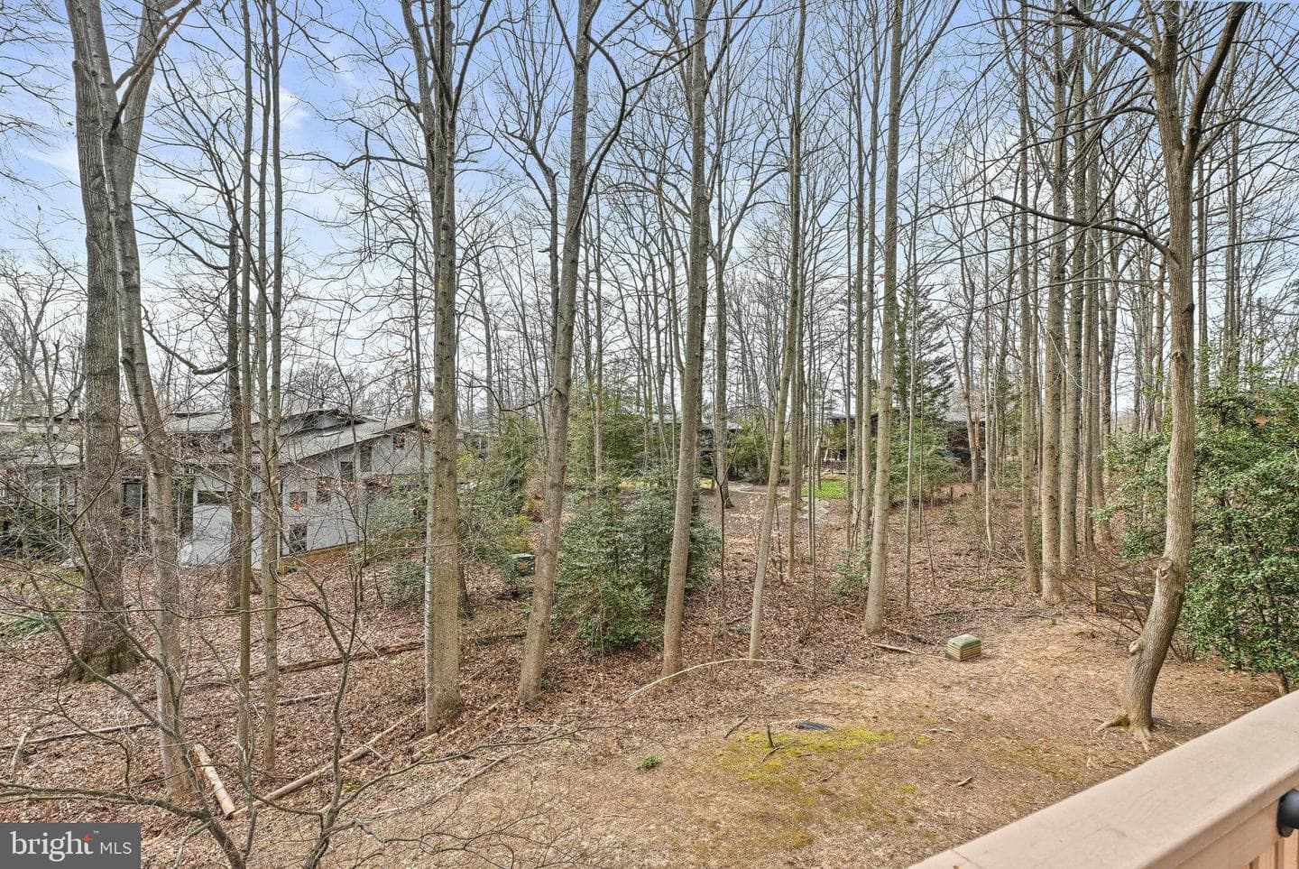 11591 Lake Newport Road photo 67