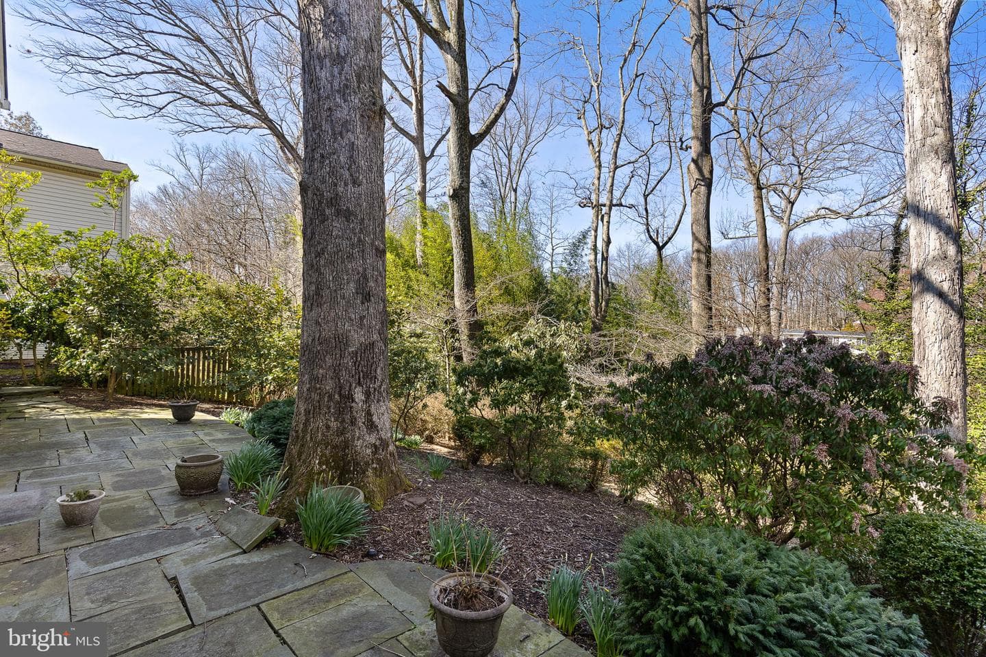 3166 Juniper Lane photo 34