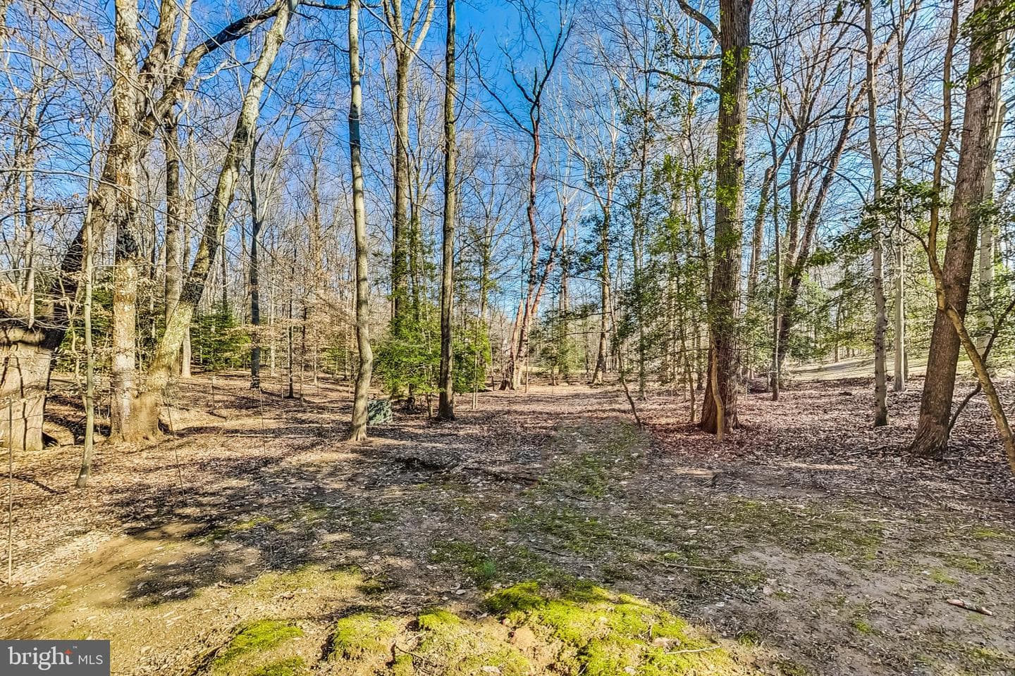9503 Beach Mill Road photo 67
