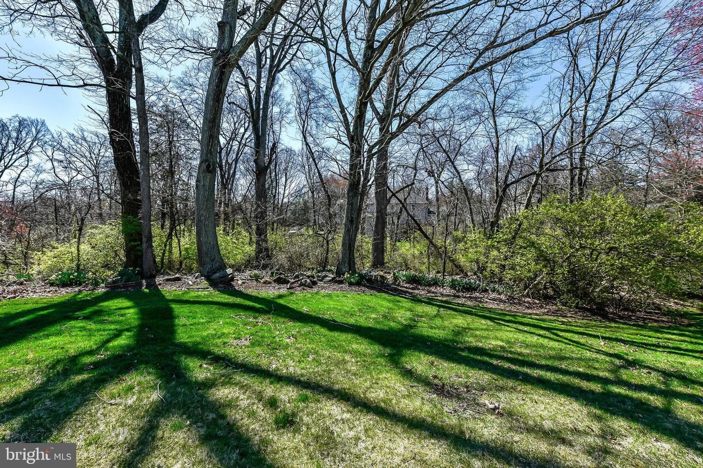 15325 Blueridge View Drive photo 38