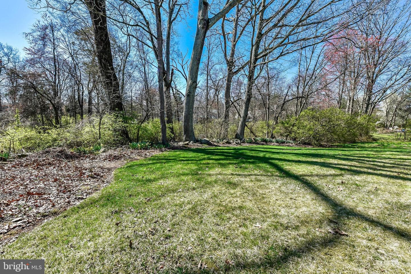 15325 Blueridge View Drive photo 39