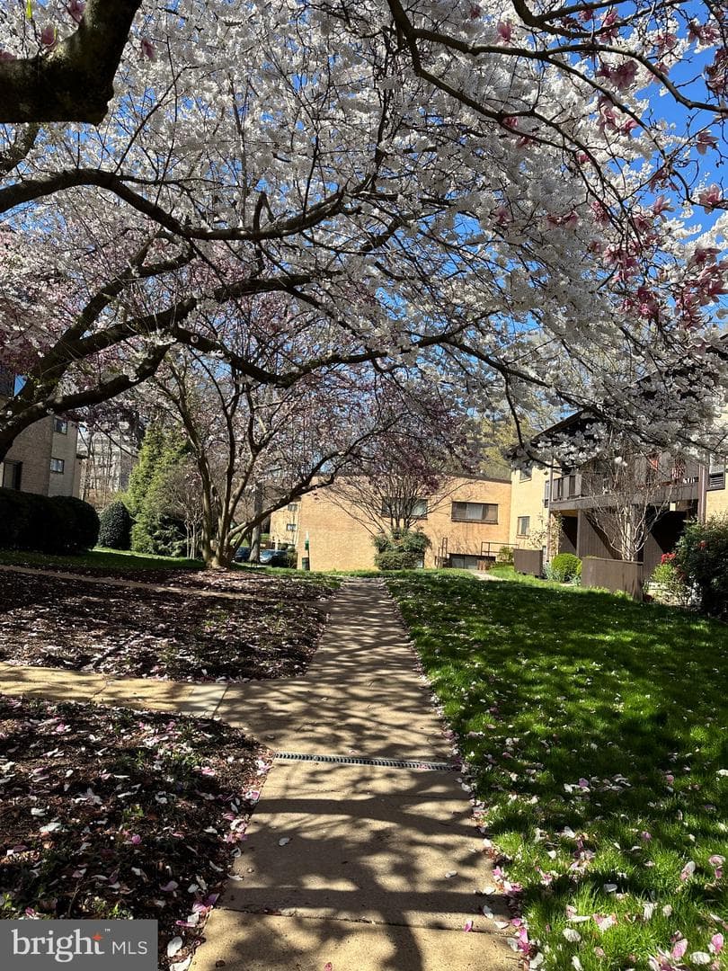 7811 Enola Street #209 photo 23