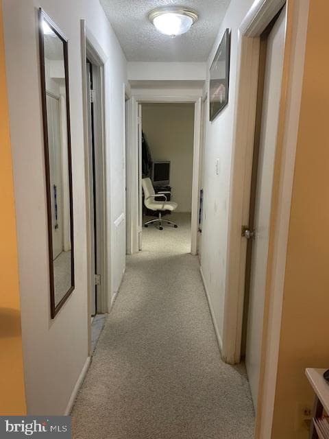 2852 Dover Lane #202 photo 5