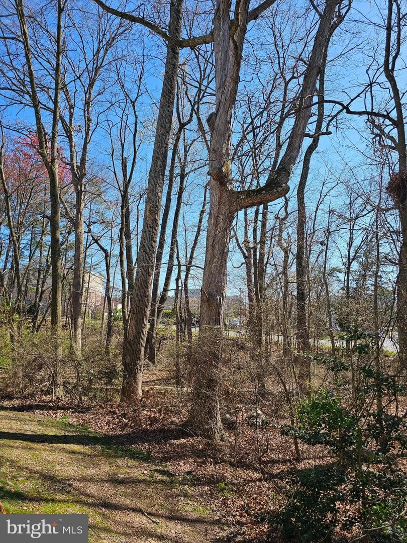 1731 Quietree Drive photo 13