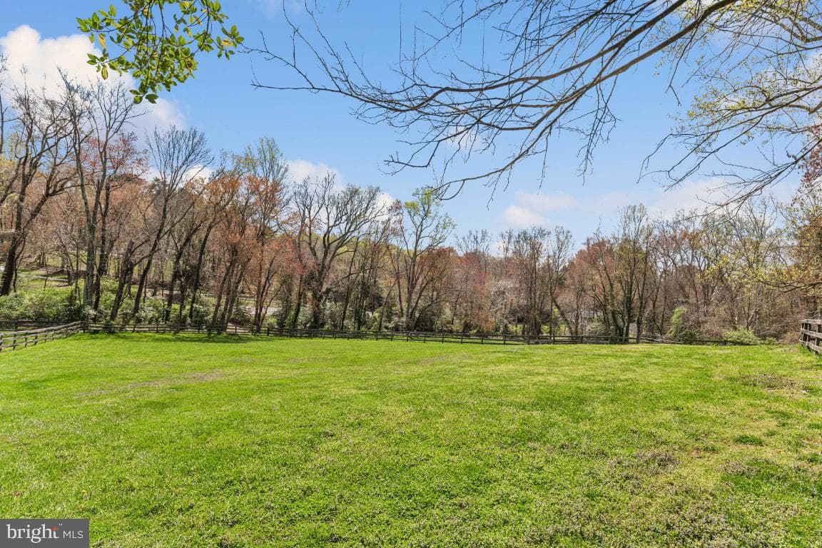 10505 Wickens Road photo 47
