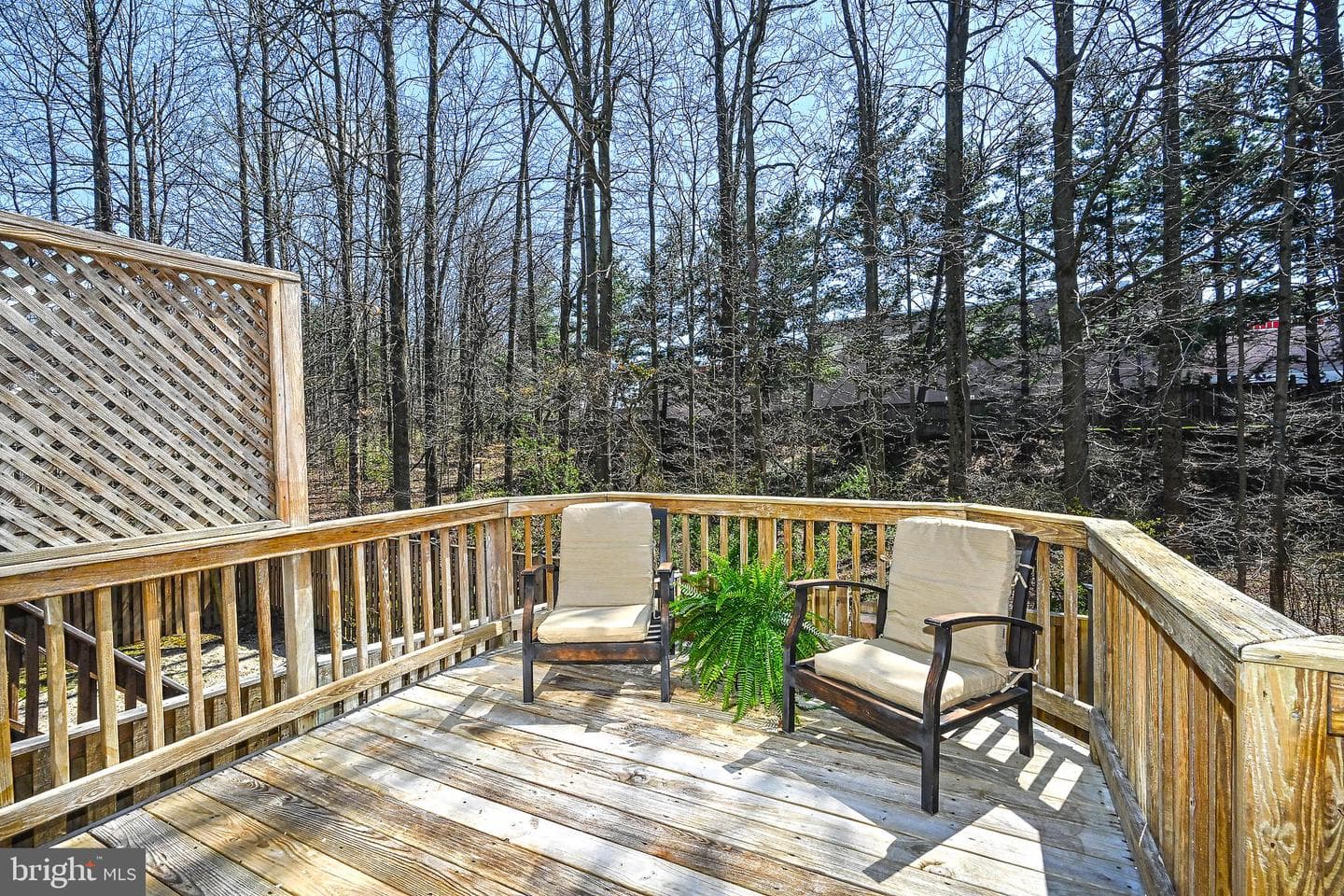 5732 Osprey Court photo 15