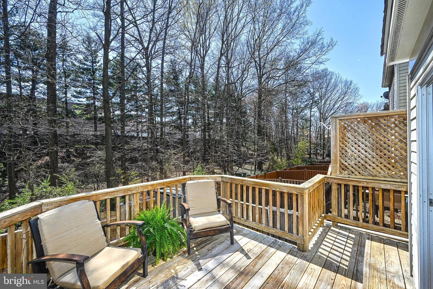 5732 Osprey Court photo 16