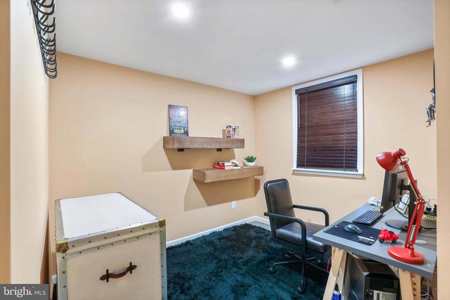 12456 Erica Hill Lane photo 28