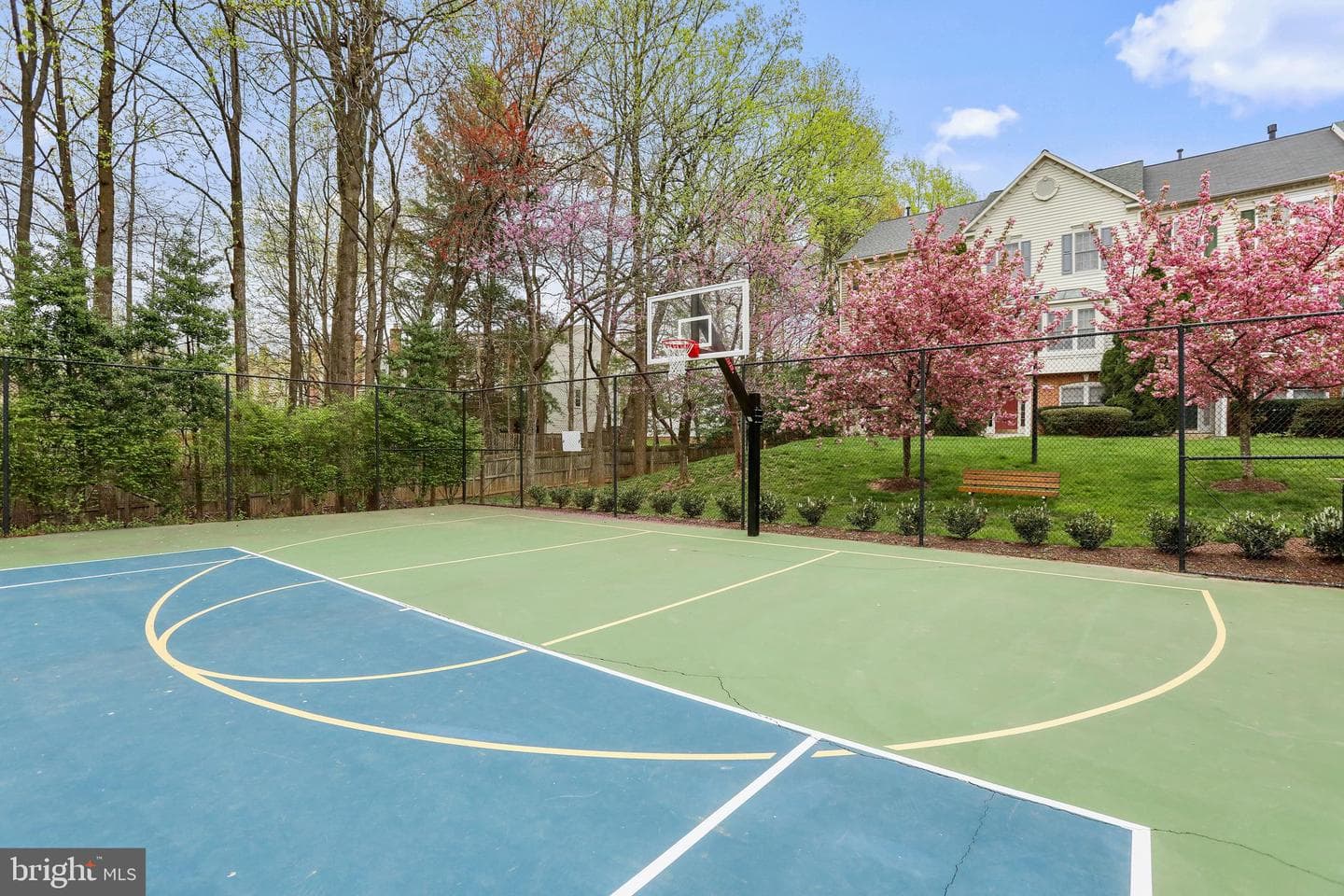 12456 Erica Hill Lane photo 34