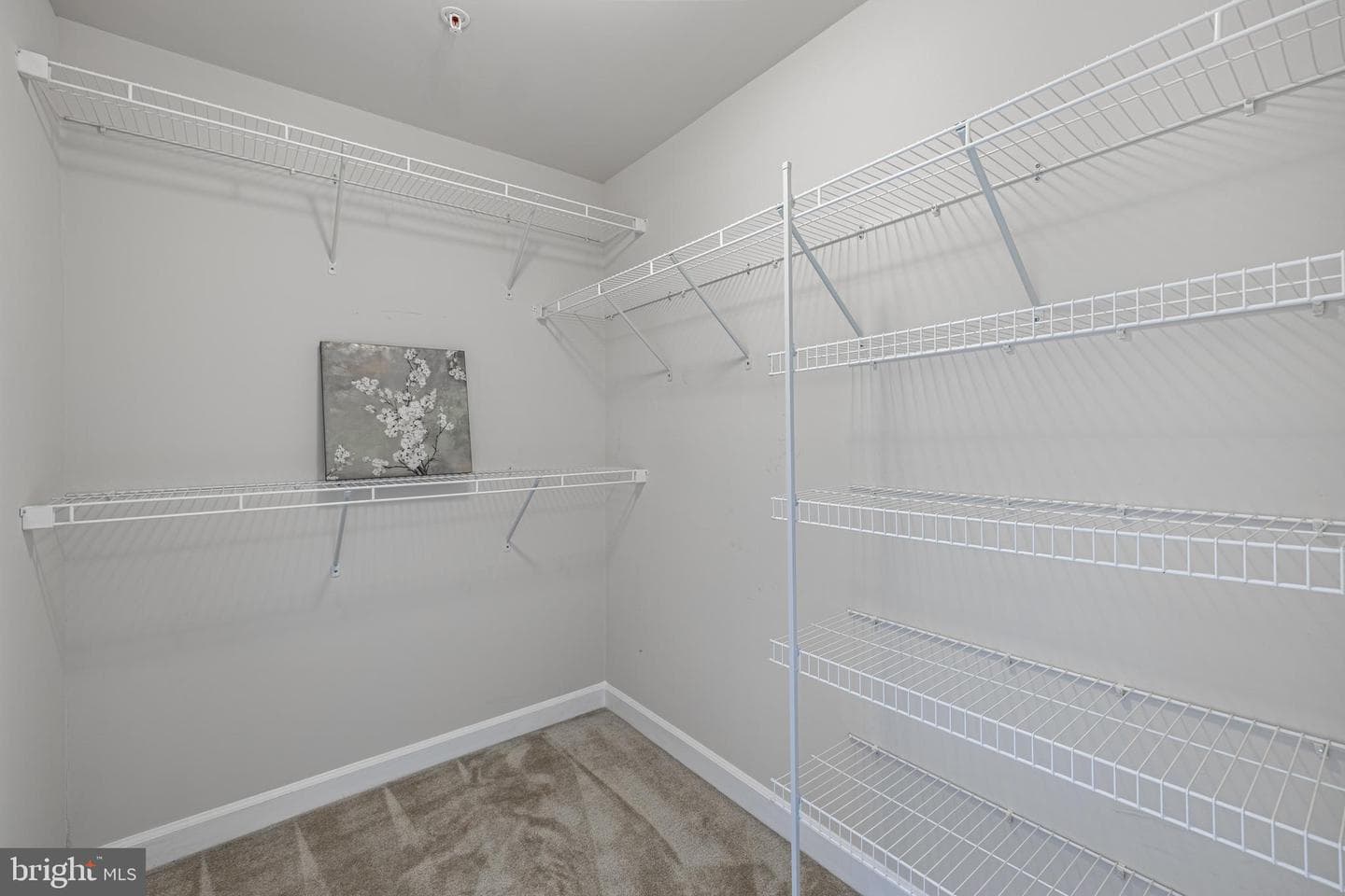 13719 Neil Armstrong Avenue photo 35