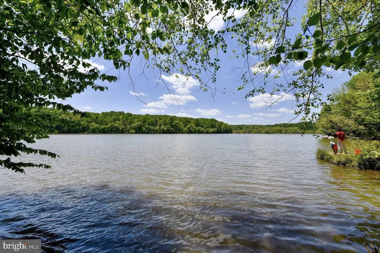 5310 Danbury Forest Drive photo 39