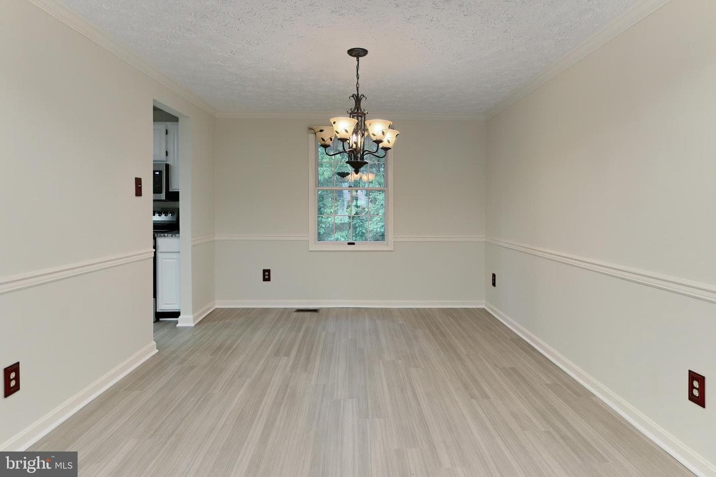 10618 Goldeneye Lane photo 11