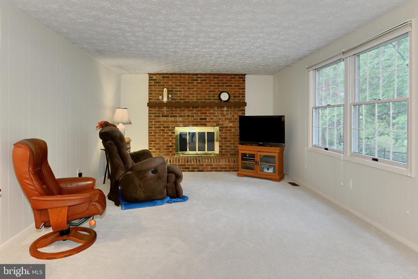 10618 Goldeneye Lane photo 17
