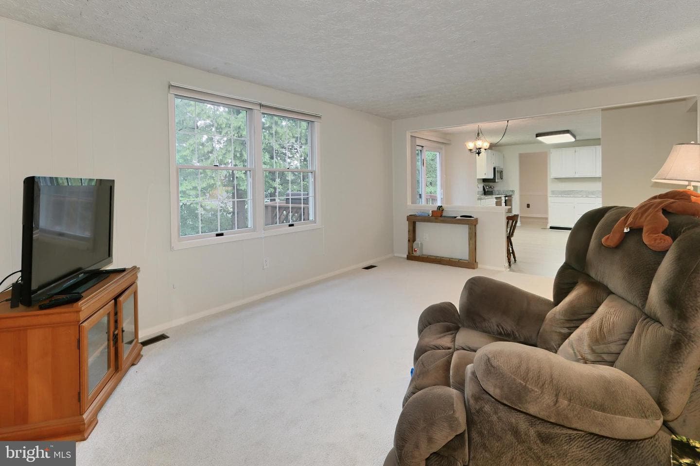 10618 Goldeneye Lane photo 19