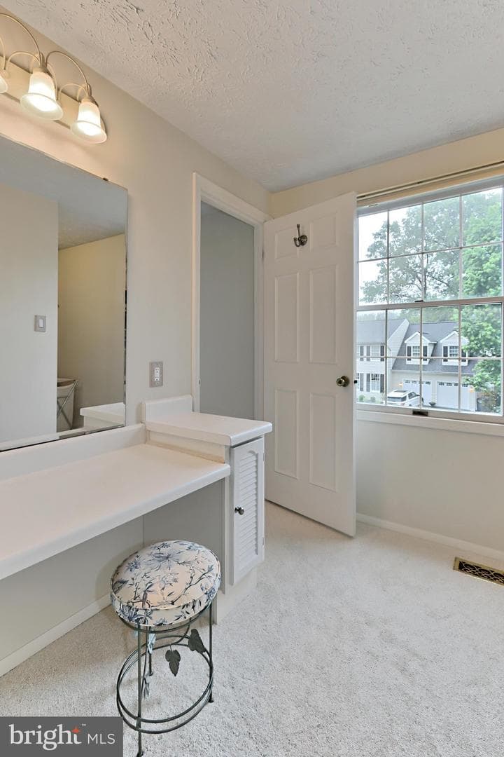 10618 Goldeneye Lane photo 23