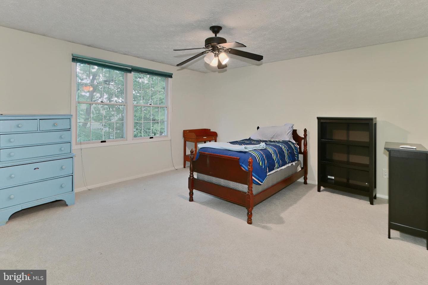 10618 Goldeneye Lane photo 28