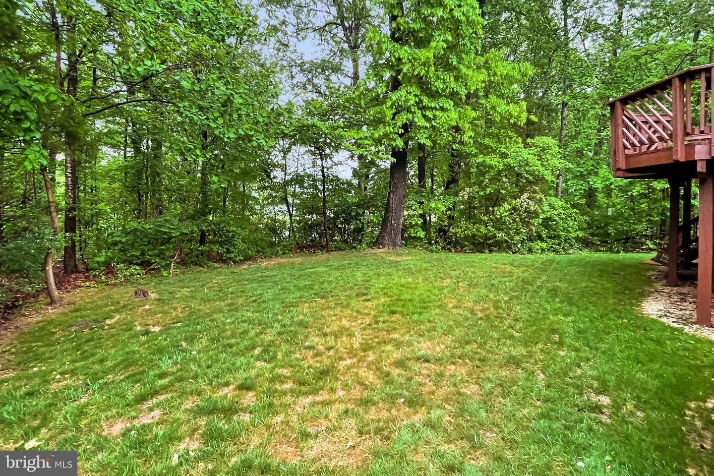 10618 Goldeneye Lane photo 42
