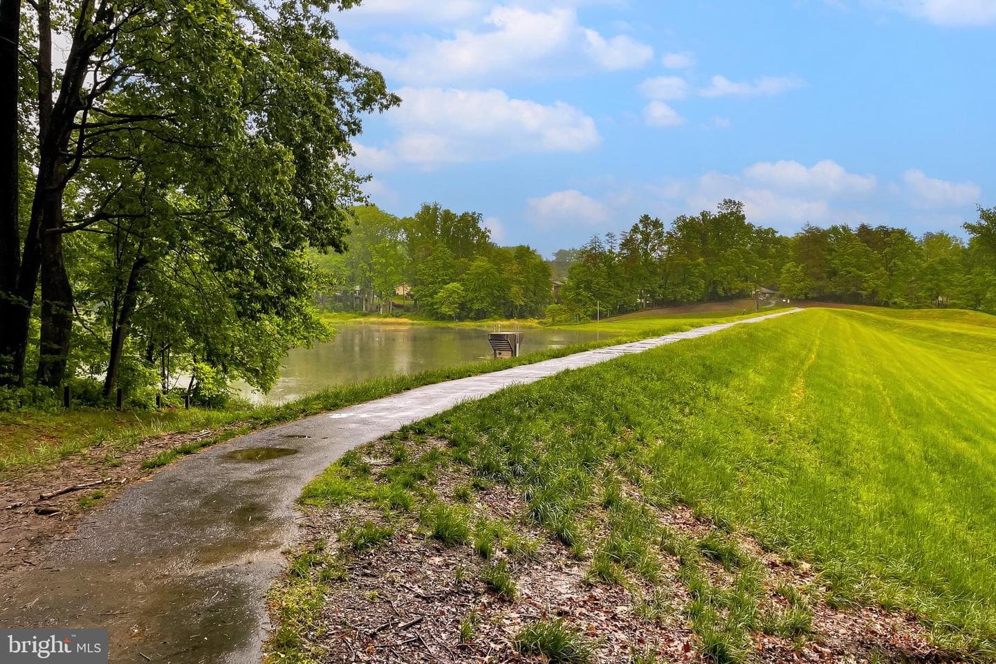 10618 Goldeneye Lane photo 47