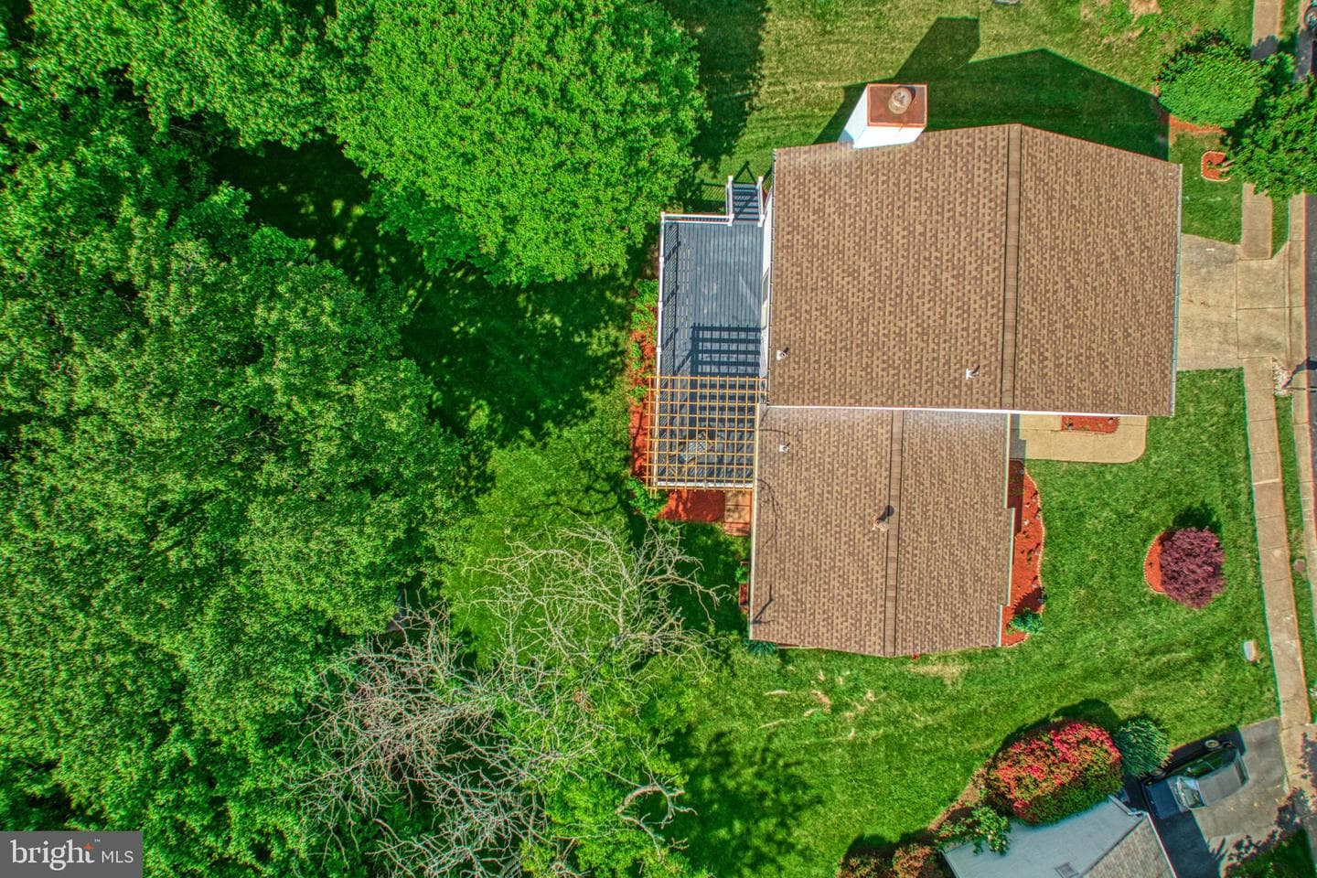 5528 Buggy Whip Drive photo 3
