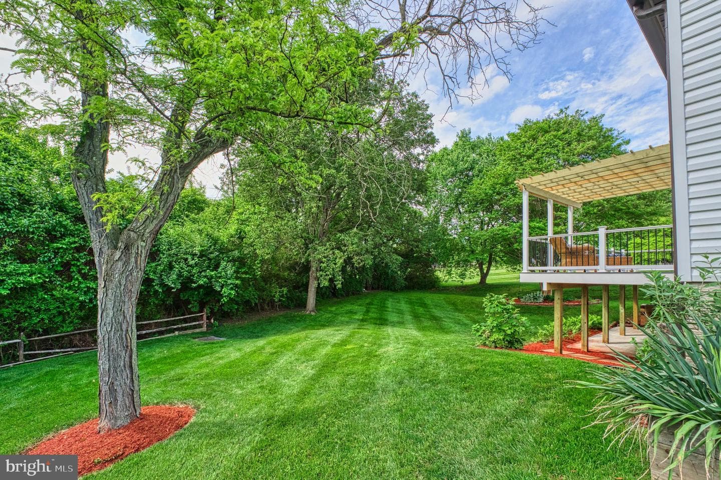 5528 Buggy Whip Drive photo 38