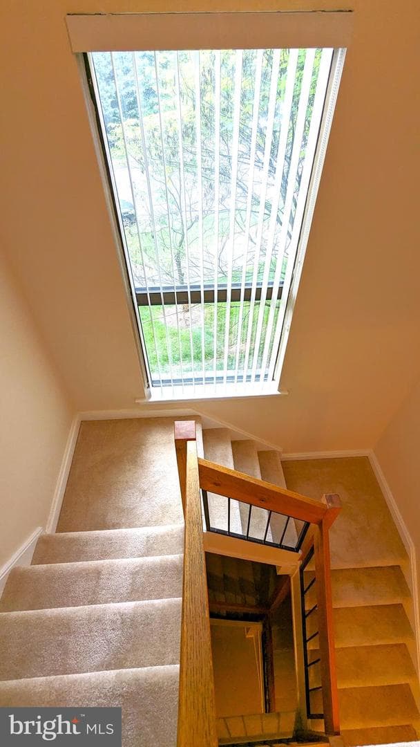 1762 Wainwright Drive photo 39