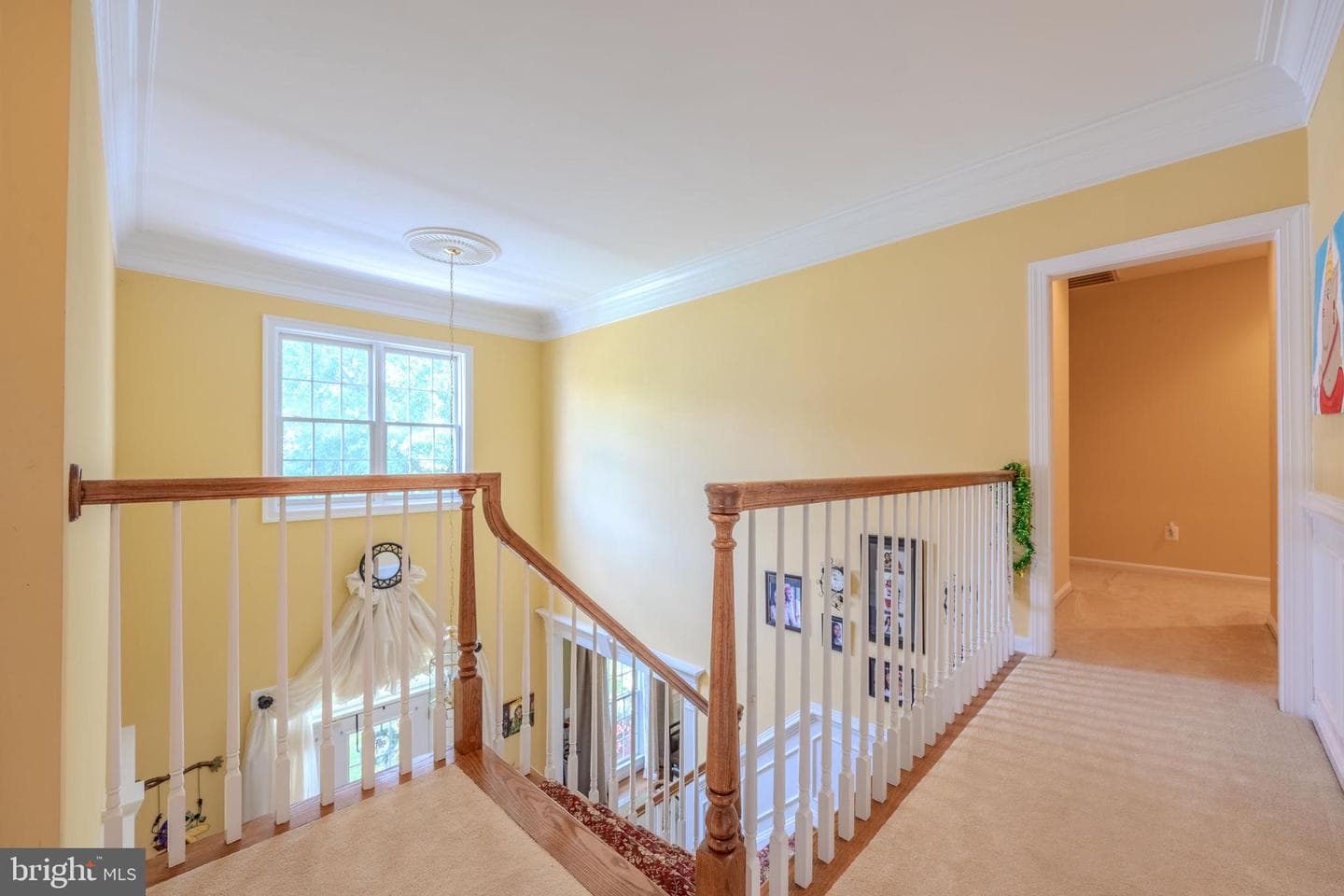 13709 Black Spruce Way photo 23