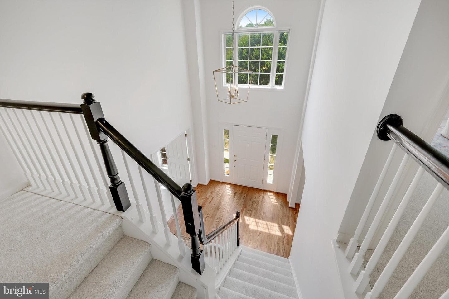 12901 Tarragon Court photo 3