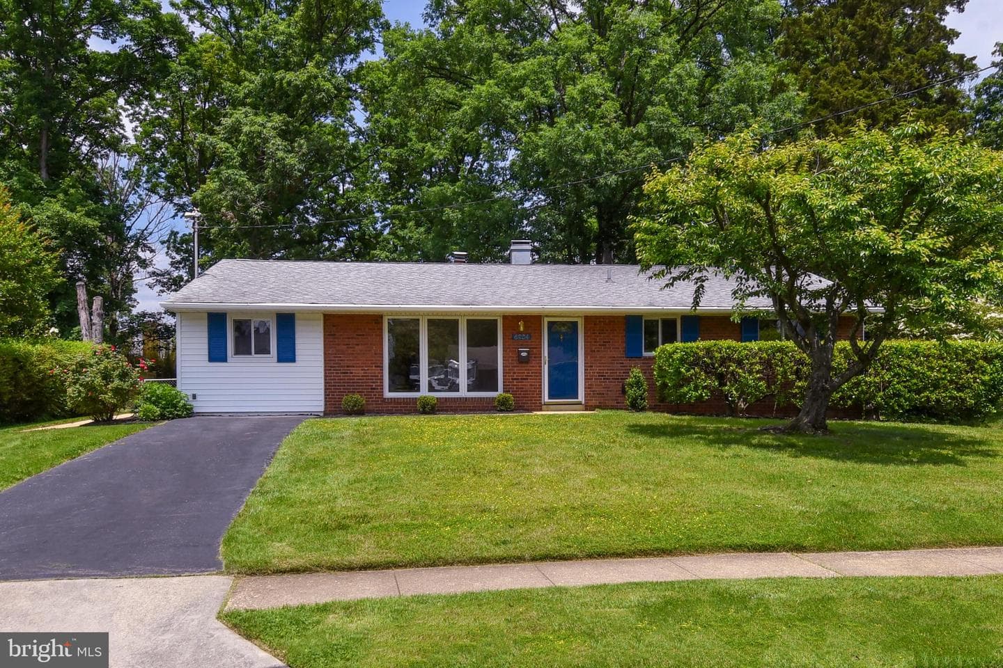 6904 Constance Drive photo 7
