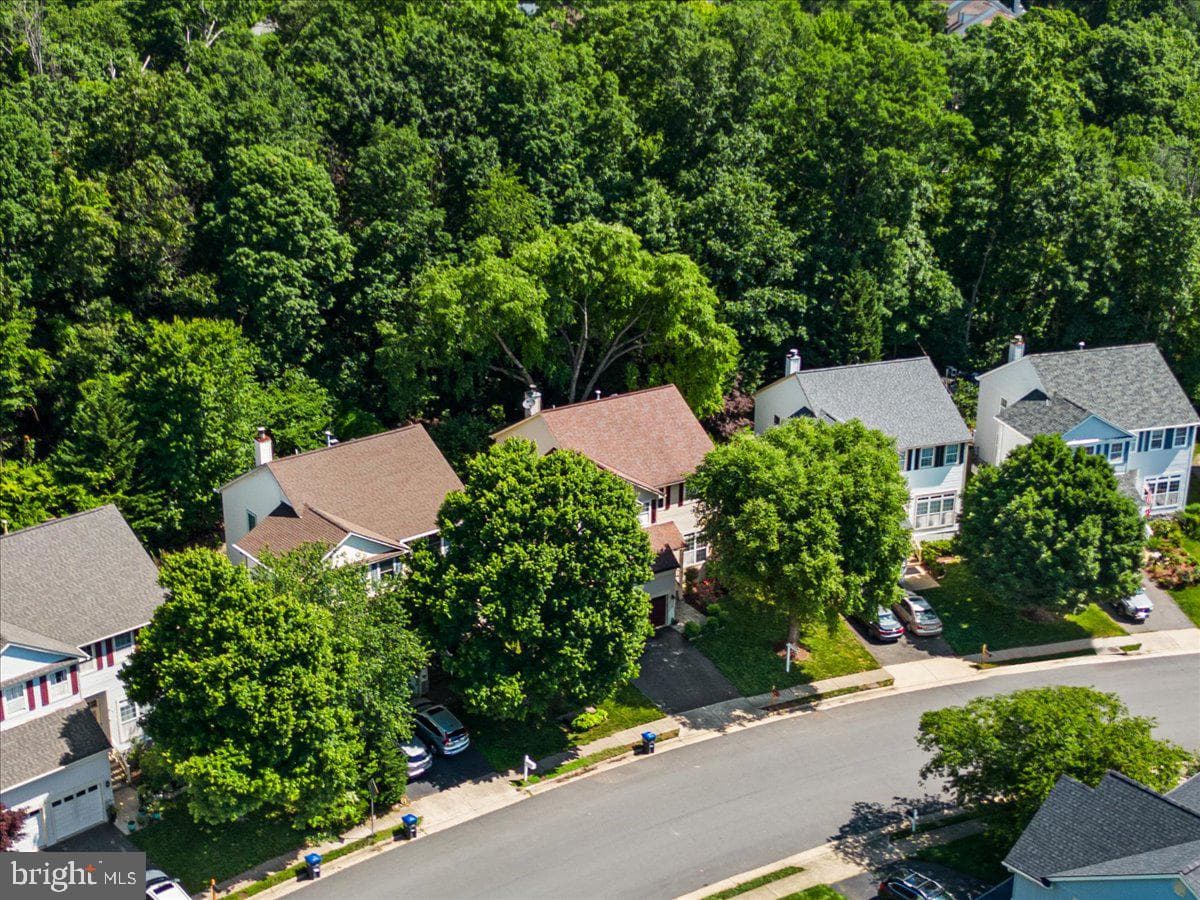14106 Wood Rock Way photo 44