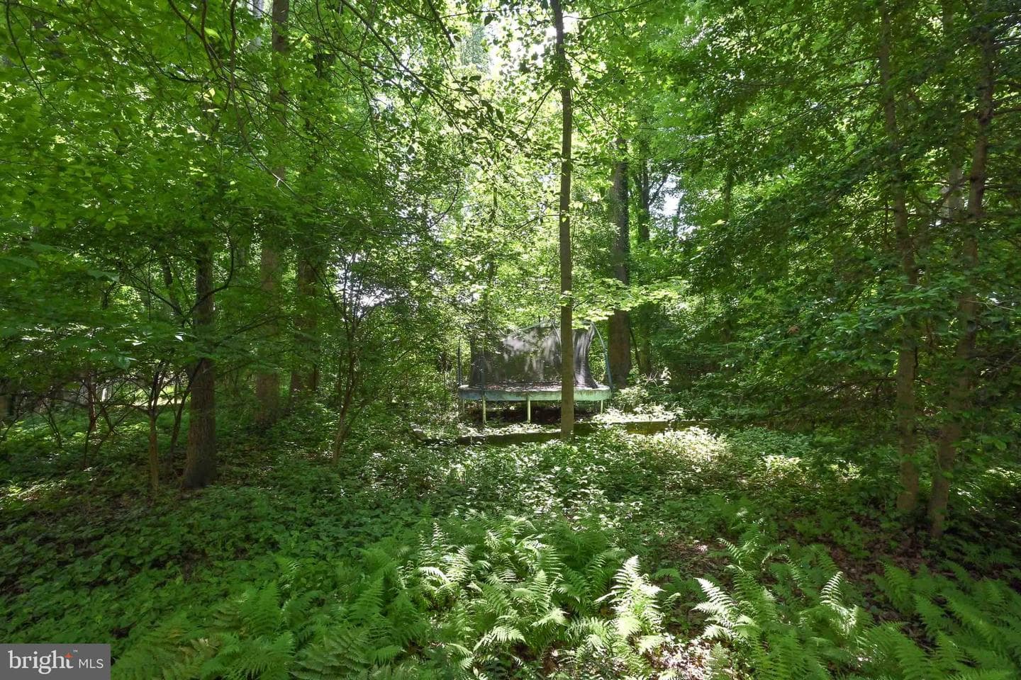 2505 Patrick Street photo 12