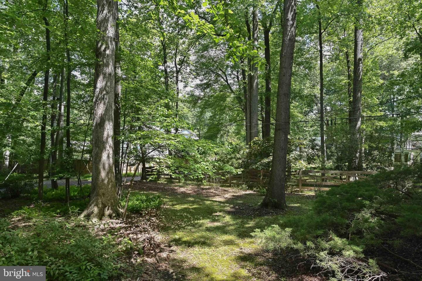 2505 Patrick Street photo 14