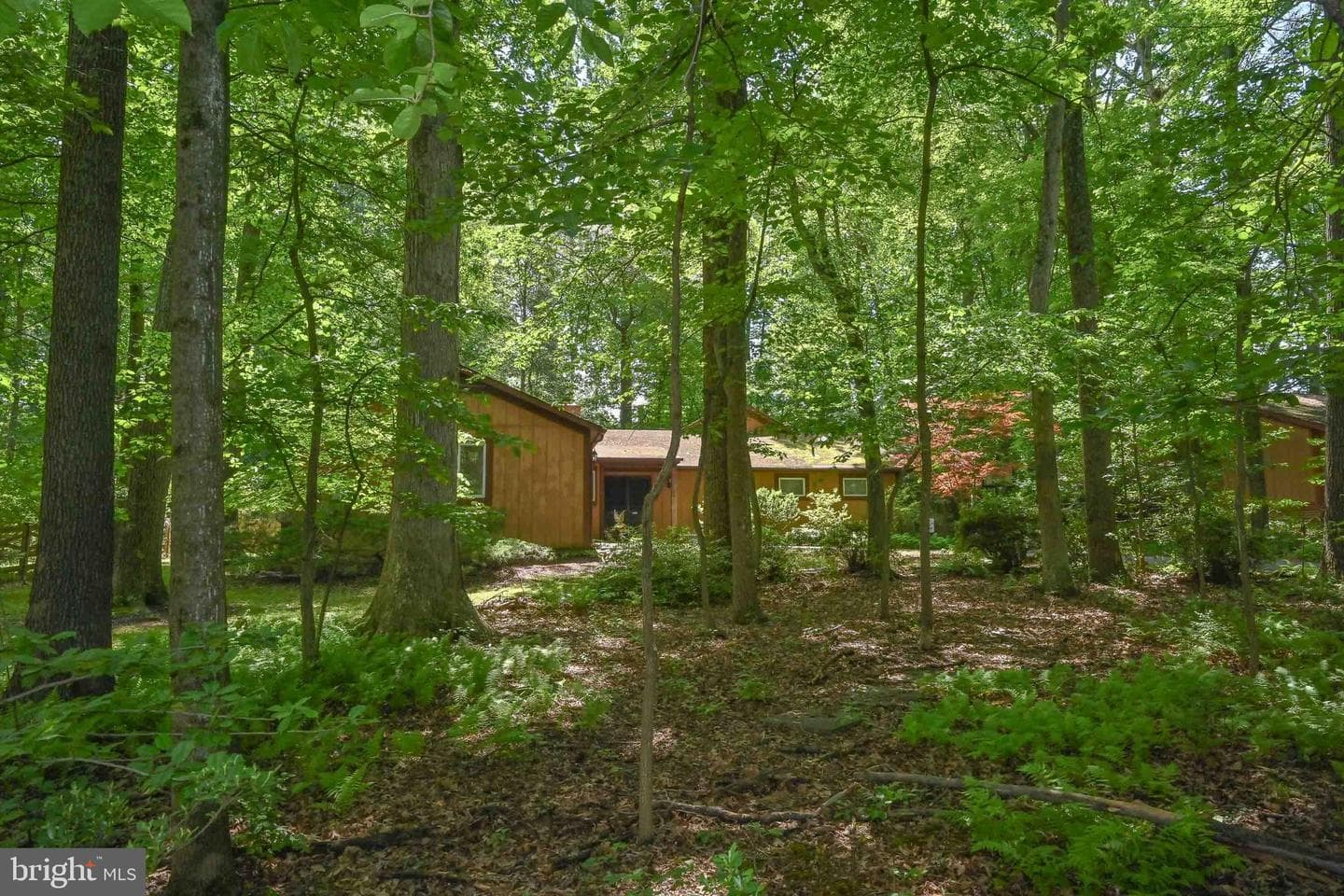 2505 Patrick Street photo 15