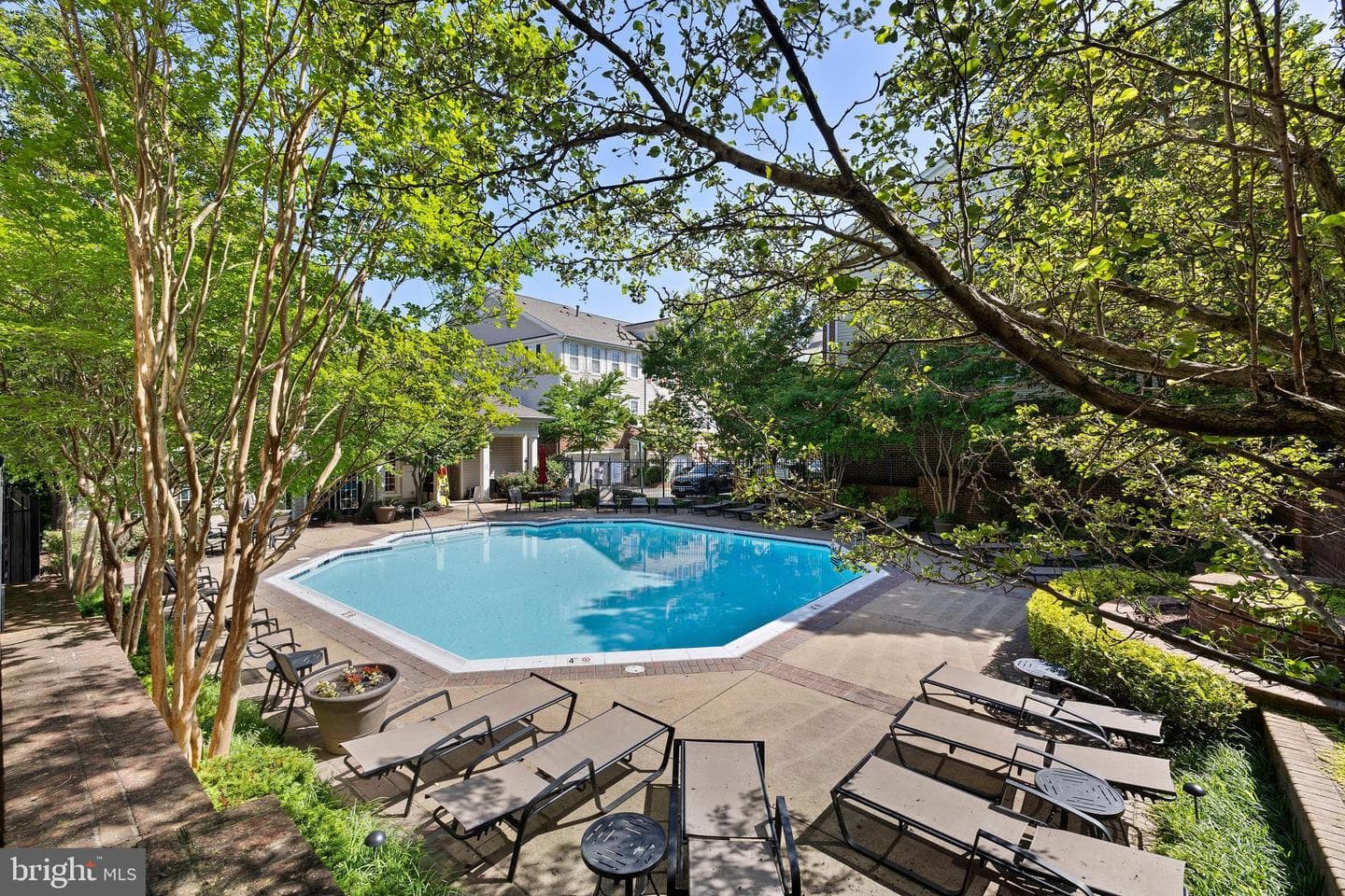 8067 Genea Way #4 photo 28