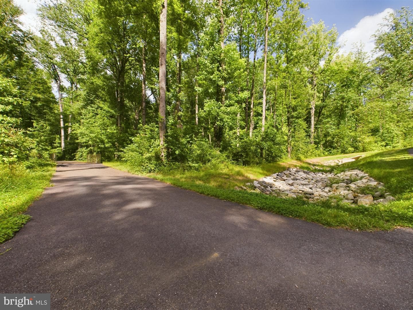 7358 Thomas Grant Drive photo 47