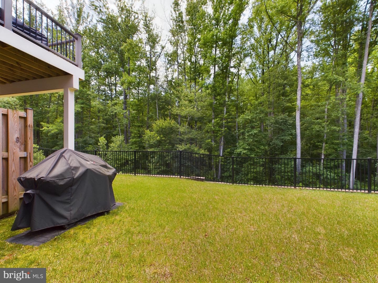 7358 Thomas Grant Drive photo 54