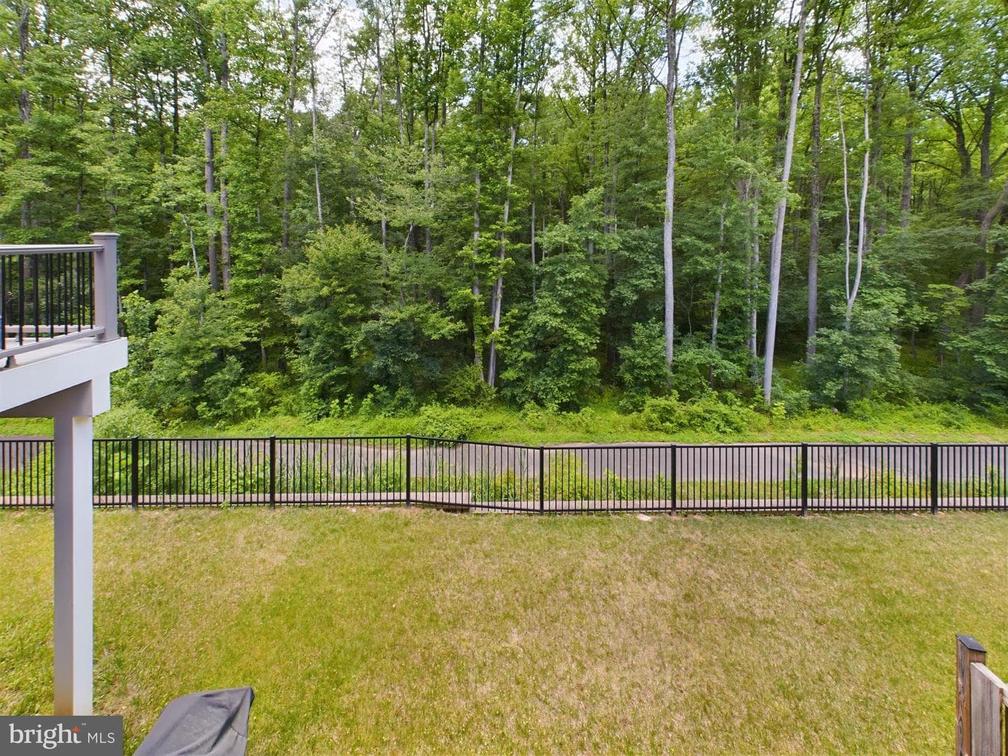 7358 Thomas Grant Drive photo 55