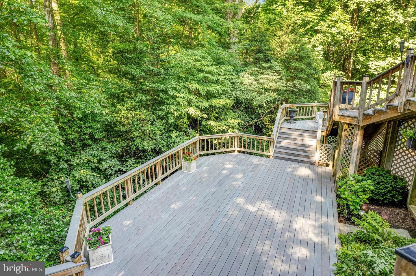 10315 Yellow Pine Drive photo 52