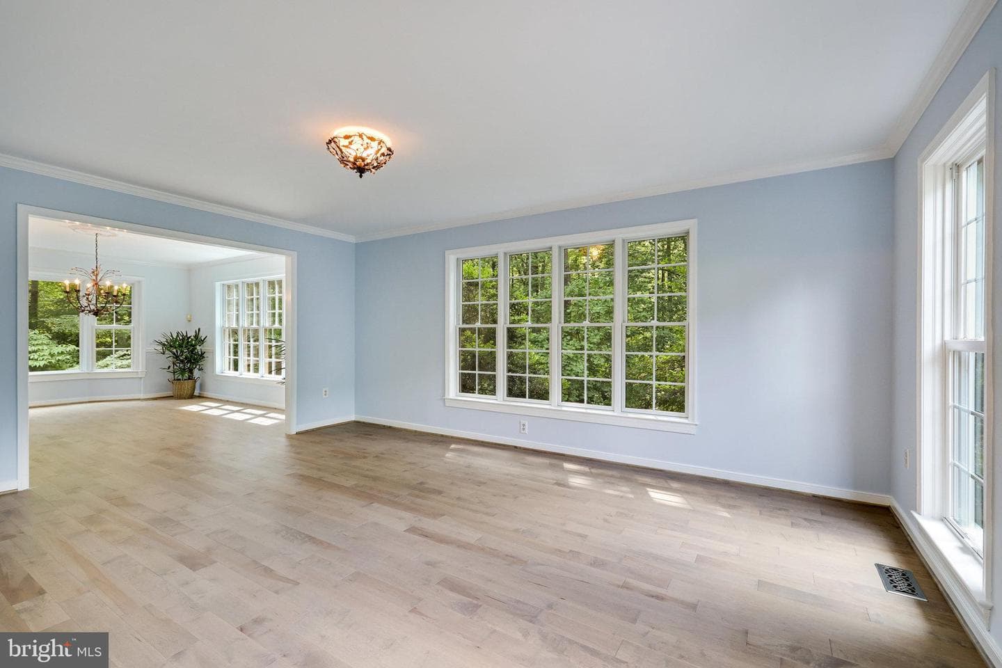 10315 Yellow Pine Drive photo 7