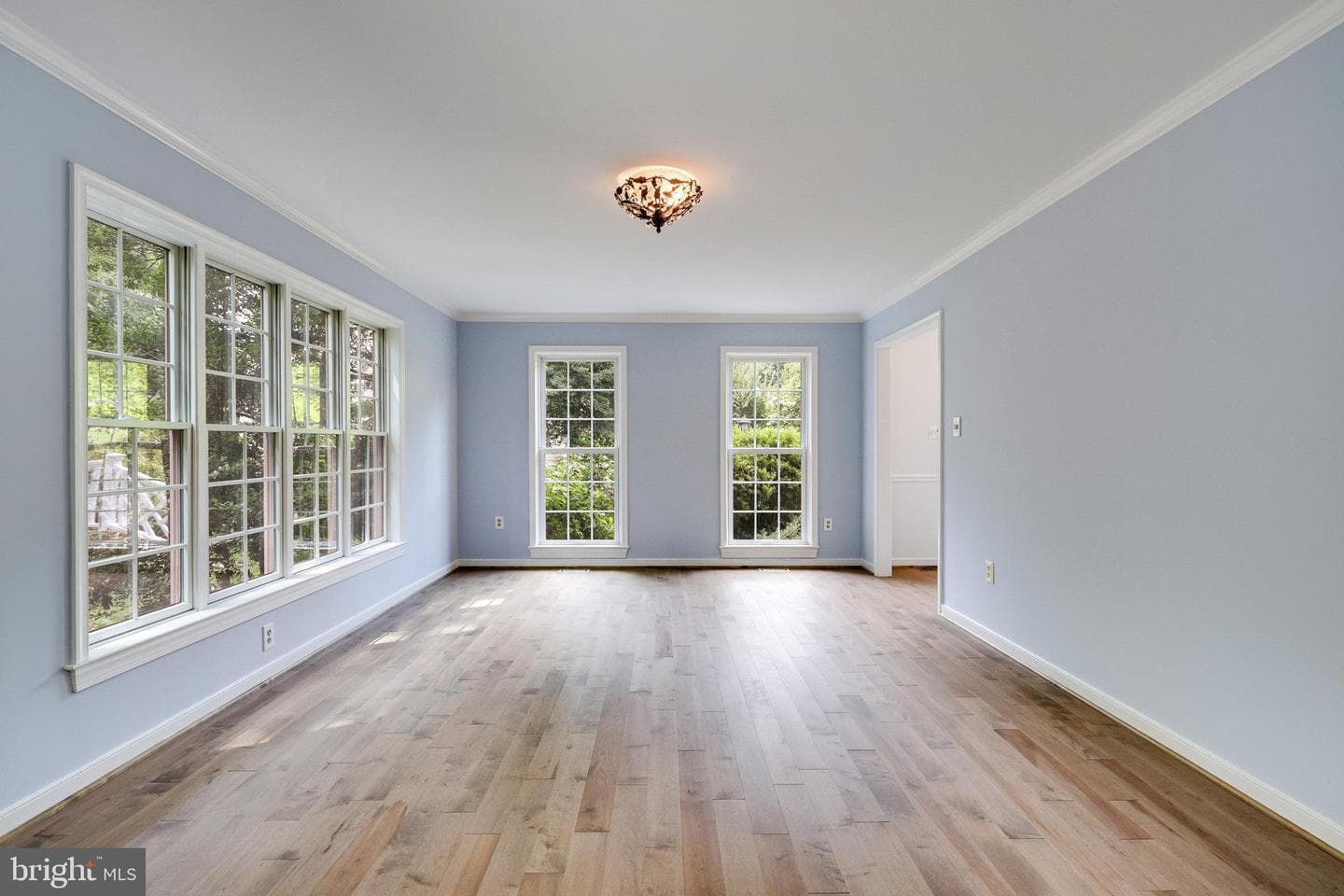10315 Yellow Pine Drive photo 8