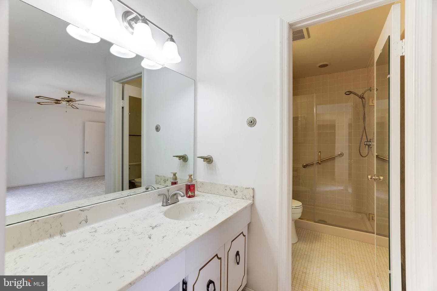 2808 Oakton Manor Court photo 18